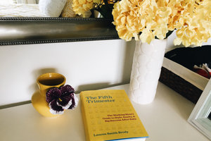 Illustration for the Work-Home-Life article WAHM Reviews: The Fifth Trimester (Part 1)